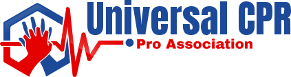 imgi_3_main-logo-1